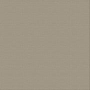 CARD STOCK 250gsm 10pack - Silver Star 12 x 12